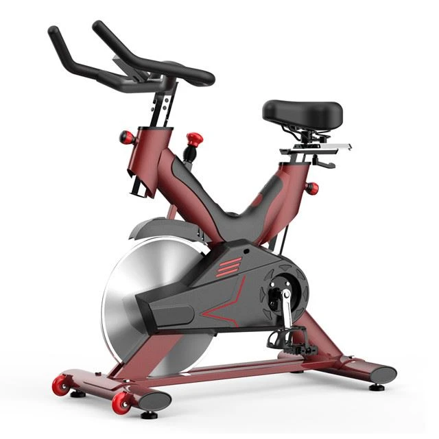 best professional spin bikes